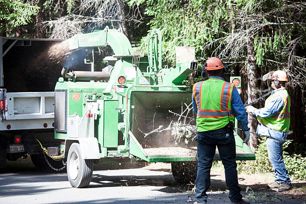 Lawn Watering Services in Baltic, SD